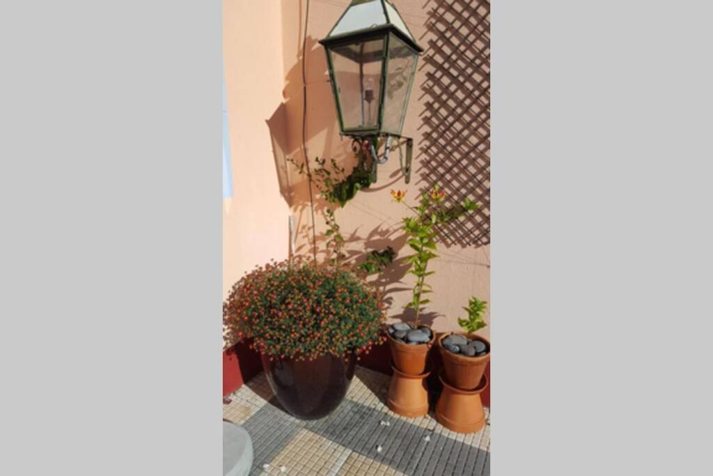 Raposeira De Sao Joao, The Feeling Of Peace, Space And Quiet, Whole Villa Is Yours Fajã da Ovelha Exterior foto