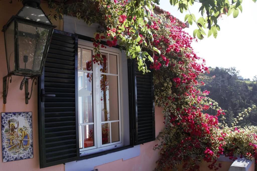 Raposeira De Sao Joao, The Feeling Of Peace, Space And Quiet, Whole Villa Is Yours Fajã da Ovelha Exterior foto