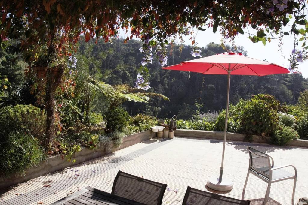 Raposeira De Sao Joao, The Feeling Of Peace, Space And Quiet, Whole Villa Is Yours Fajã da Ovelha Exterior foto